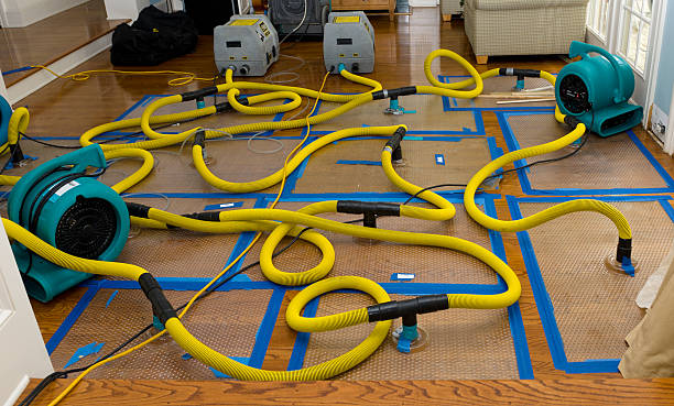 Professional Crawl Space Water Removal technician working in Boston, VA